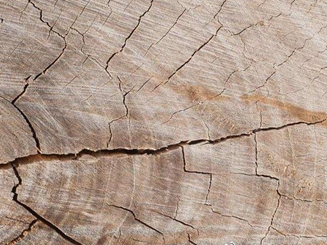 减少木材板材开裂的方法有哪些？